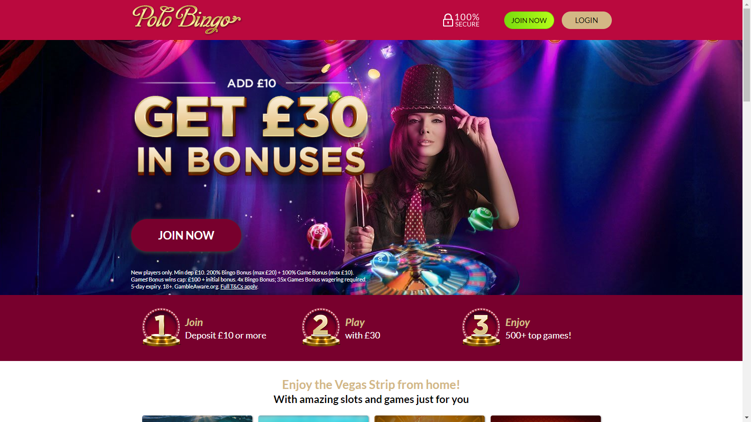 Polo Bingo Casino Desktop screenshot